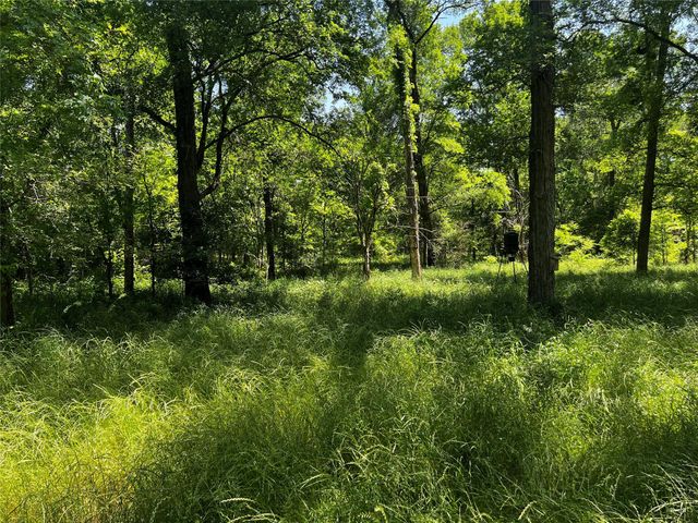 0 Meyer Road, San Felipe, TX 77474