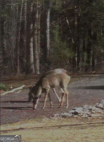 1959 Miller Ferry Road SW, Calhoun, GA 30701