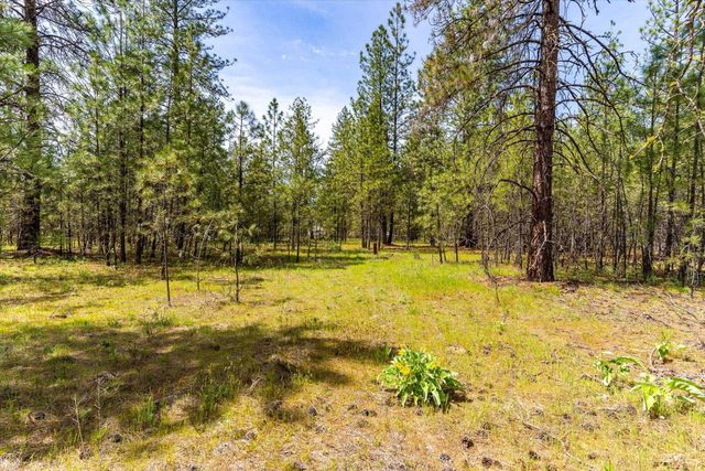 6550 Kate Dr, Nine Mile Falls, WA 99026