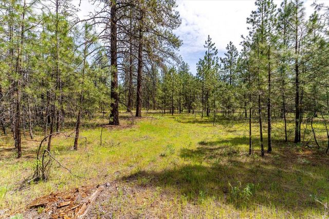 6550 Kate Dr, Nine Mile Falls, WA 99026