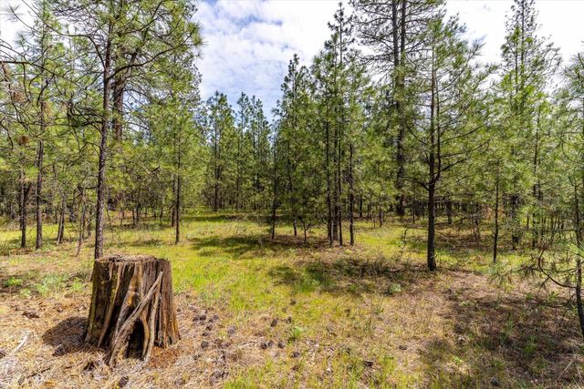 6550 Kate Dr, Nine Mile Falls, WA 99026