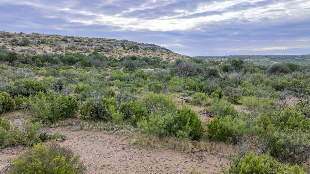 Image 12 of property listing at 2165 Chisholm Road, Ozona, TX 76943