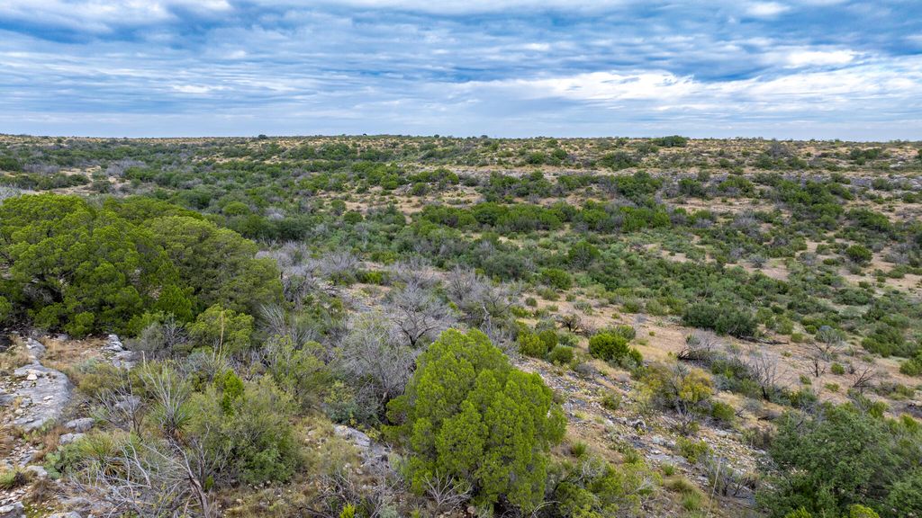 Image 14 of property listing at 2165 Chisholm Road, Ozona, TX 76943