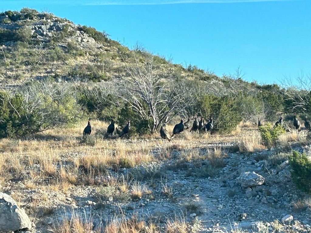 Image 20 of property listing at 2165 Chisholm Road, Ozona, TX 76943