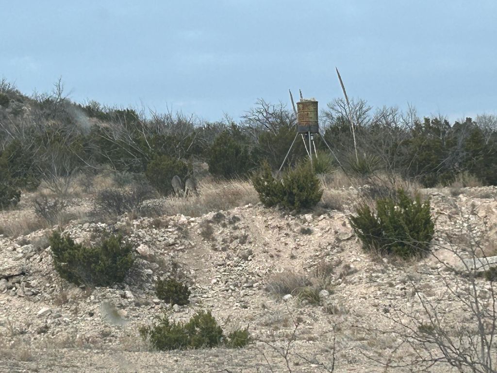 Image 21 of property listing at 2165 Chisholm Road, Ozona, TX 76943