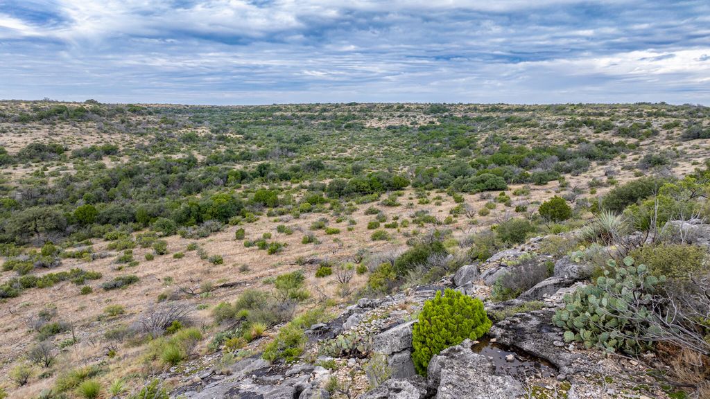 Image 9 of property listing at 2165 Chisholm Road, Ozona, TX 76943