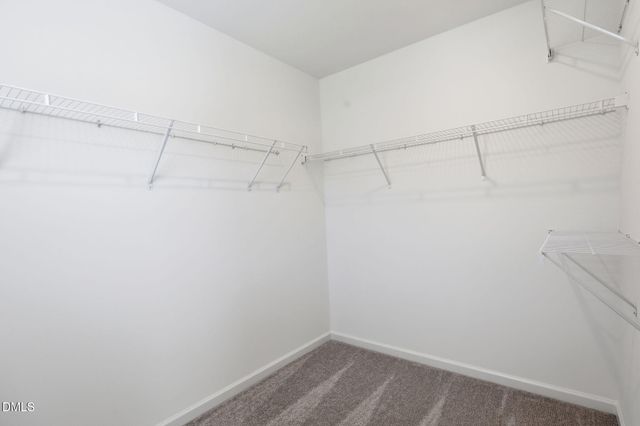 318 Sweetbay Tree Drive, Wendell, NC 27591