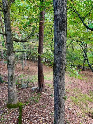 130 Happy Valley Lane, Morganton, GA 30560