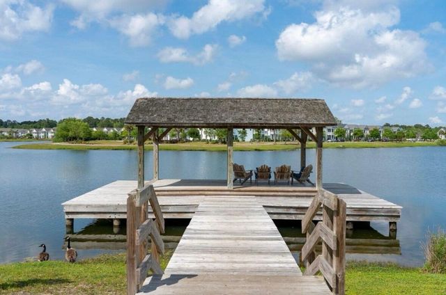 1894 Brittlebush Lane, Johns Island, SC 29455