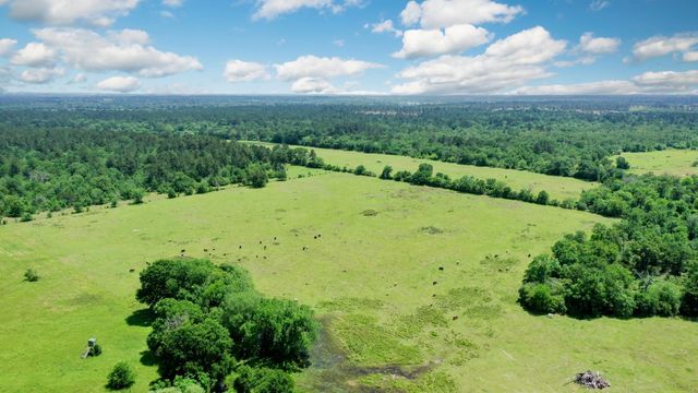 2792 County Road 145, Bedias, TX 77831
