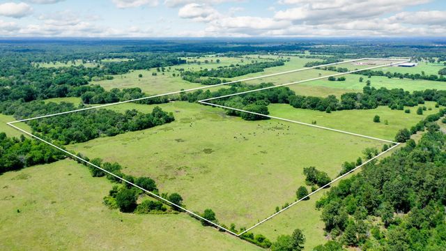 2792 County Road 145, Bedias, TX 77831