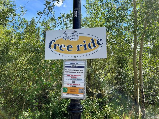 168 Corkscrew Drive, Breckenridge, CO 80424