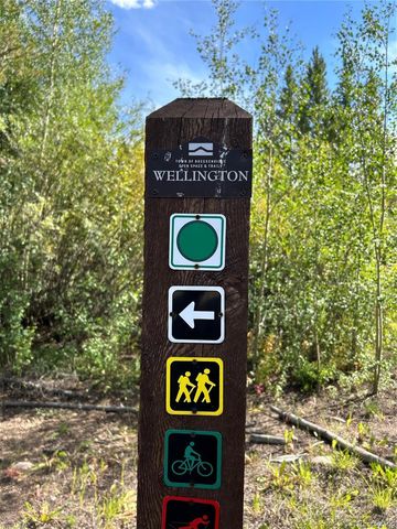 168 Corkscrew Drive, Breckenridge, CO 80424