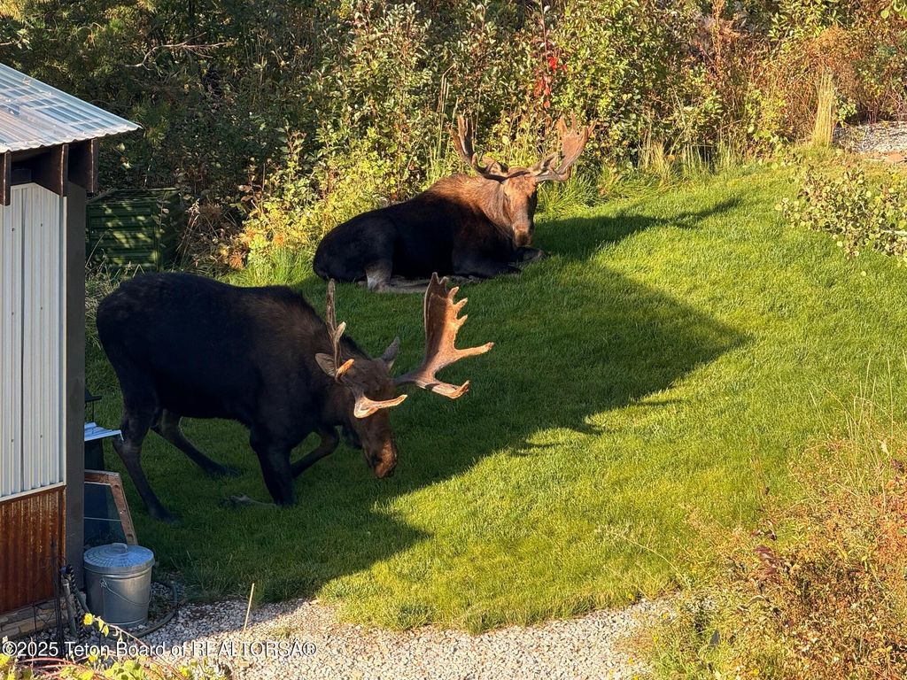 399 GRANITE RIDGE, Alpine, WY 83128 photo 80