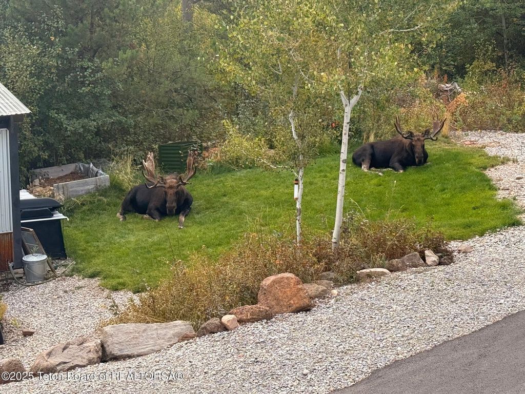 399 GRANITE RIDGE, Alpine, WY 83128 photo 81