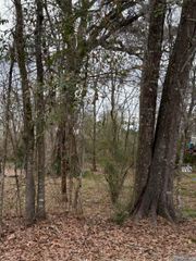 TBD Amite River Rd, Baton Rouge, LA 70817