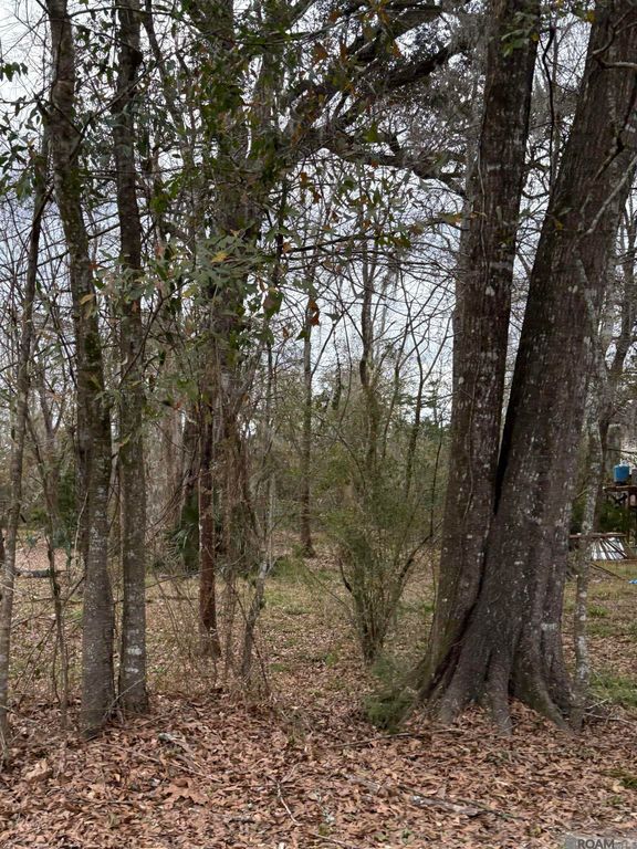 TBD Amite River Rd, Baton Rouge, LA 70817