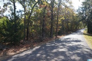 00 FULTON GAP ROAD, Sylacauga, AL 35150
