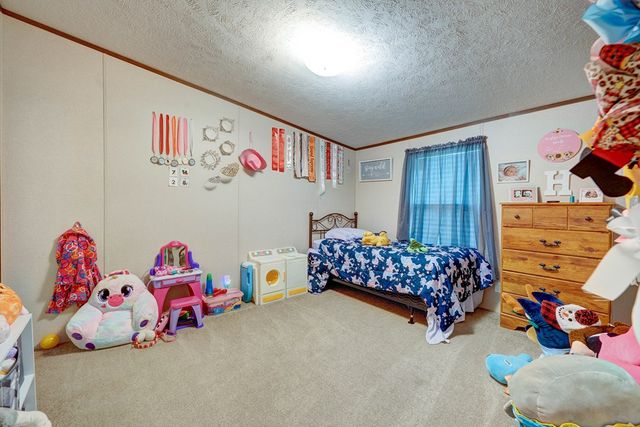 6496 Boardtown Road, Ellijay, GA 30540
