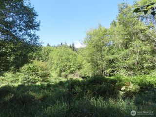 0 Salmon Creek Road, Mossyrock, WA 98564