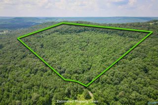 80 acres Pines Church Road, Somerville, AL 35670