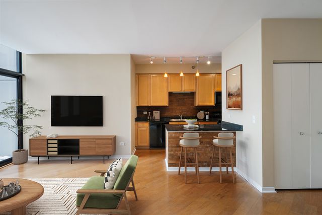 435 W Erie Street 2204, Chicago, IL 60654