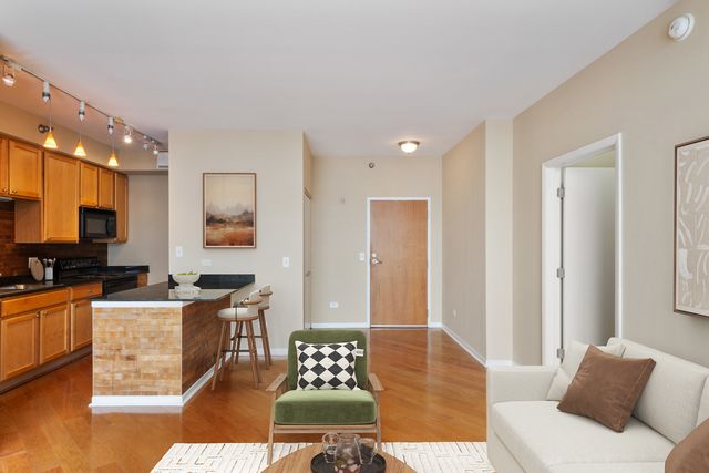 435 W Erie Street 2204, Chicago, IL 60654