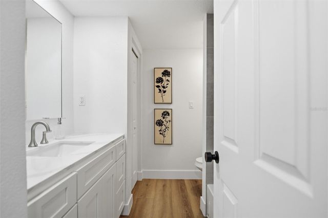 2338 MEADOWBROOK DRIVE, Lutz, FL 33558