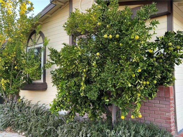 31928 Cinnabar, Castaic, CA 91384