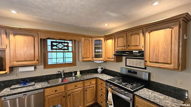 12196 LAGUNA Drive, Marion, IL 62959