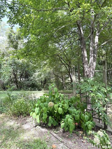 12196 LAGUNA Drive, Marion, IL 62959