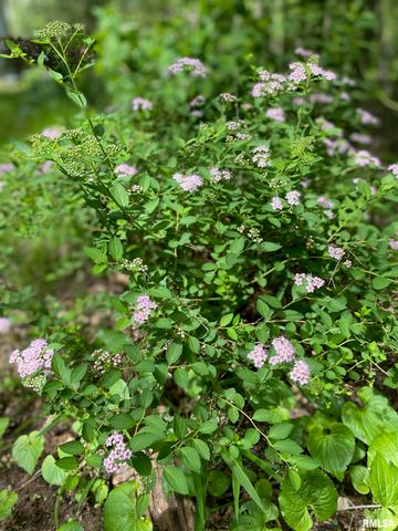 12196 LAGUNA Drive, Marion, IL 62959