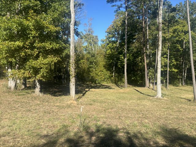 0 Mariah Lane, Bath Springs, TN 38311