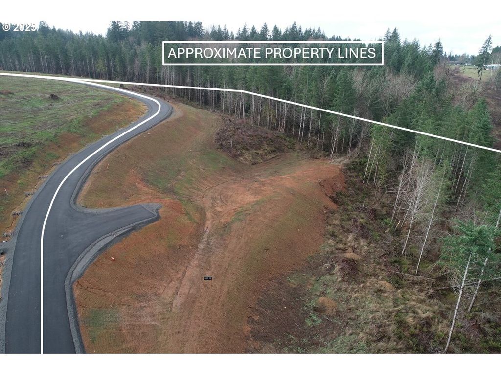 168 Ash Mountain Dr 1, Castle Rock, WA 98611