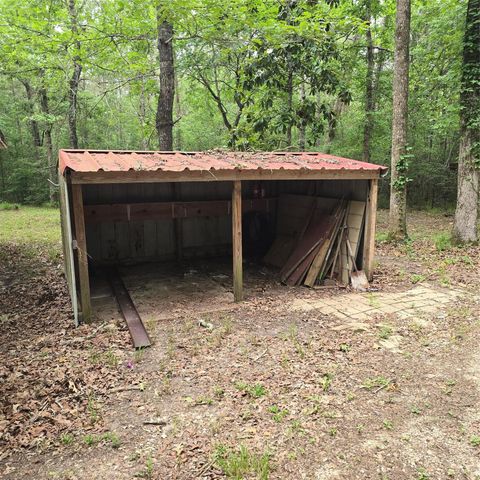 910 Ragsdale Springs Road, Shepherd, TX 77371