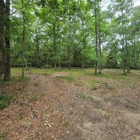 910 Ragsdale Springs Road, Shepherd, TX 77371