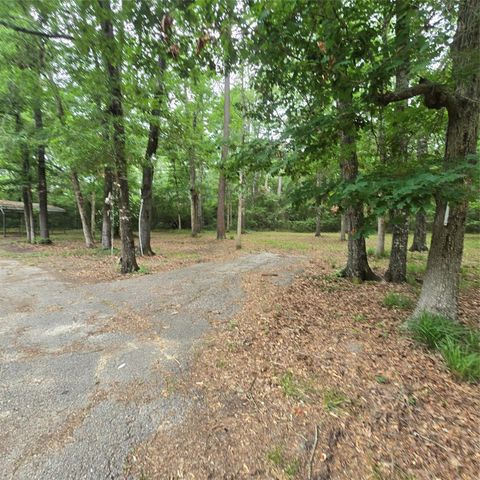 910 Ragsdale Springs Road, Shepherd, TX 77371