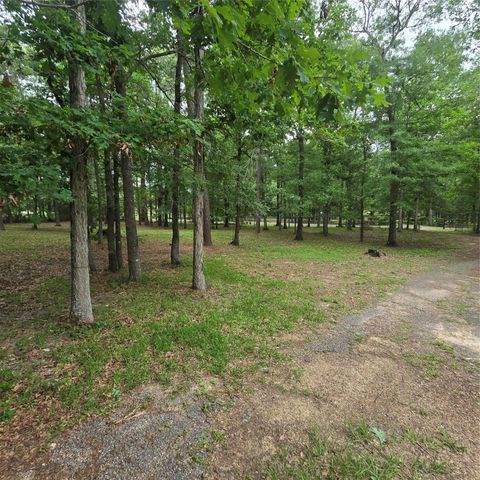 910 Ragsdale Springs Road, Shepherd, TX 77371