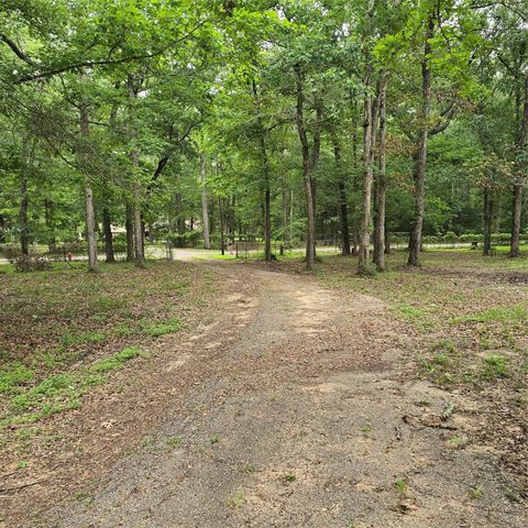 910 Ragsdale Springs Road, Shepherd, TX 77371