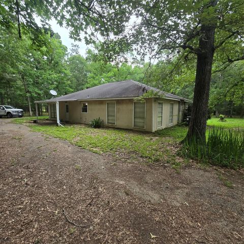 910 Ragsdale Springs Road, Shepherd, TX 77371