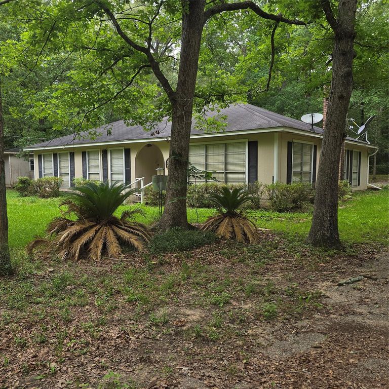 910 Ragsdale Springs Road, Shepherd, TX 77371