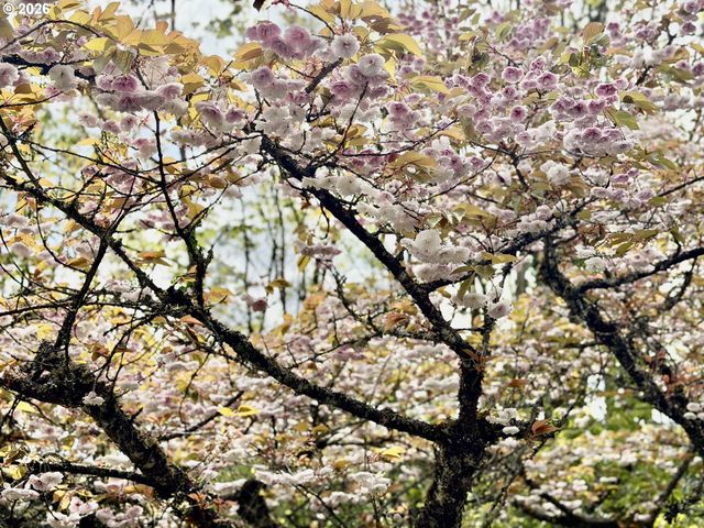 44 EAGLE CREST Dr, Lake Oswego, OR 97035