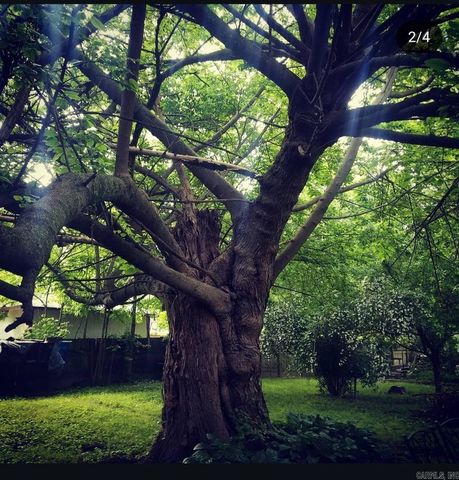 109 S Adams Street, Mena, AR 71953