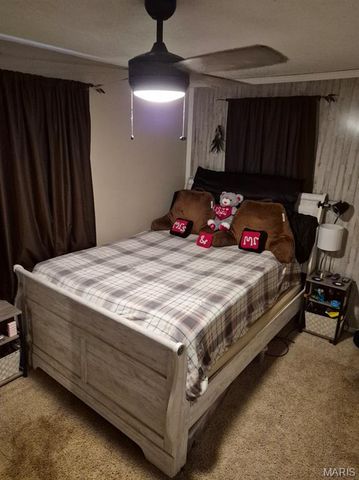 508 Low Street, Park Hills, MO 63601