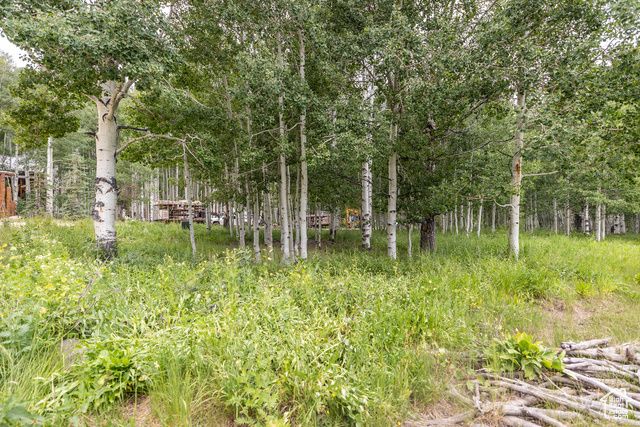11911 E Antelope Dr 2022, Heber City, UT 84032