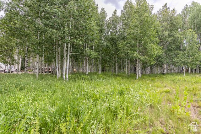 11911 E Antelope Dr 2022, Heber City, UT 84032