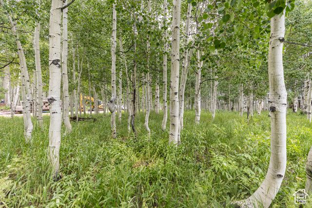 11911 E Antelope Dr 2022, Heber City, UT 84032