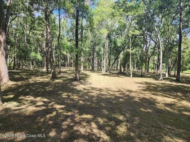 4110 Hampton Lane, Mims, FL 32754