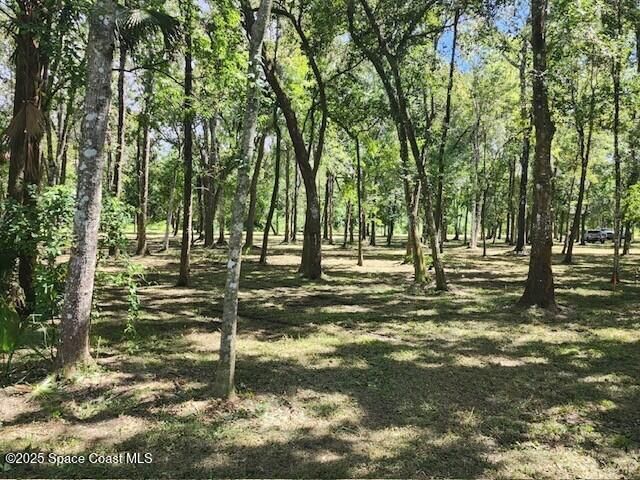 4110 Hampton Lane, Mims, FL 32754