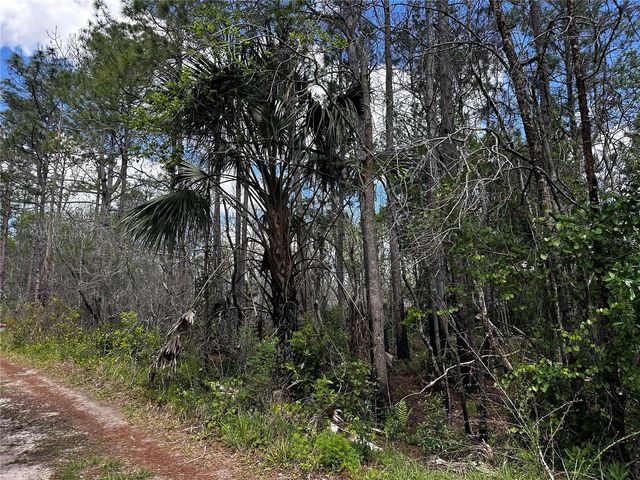 00 KOLA ROAD, New Smyrna Beach, FL 32168